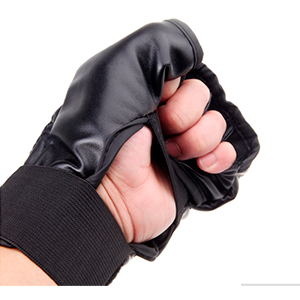 Mitones De Lucha MMA