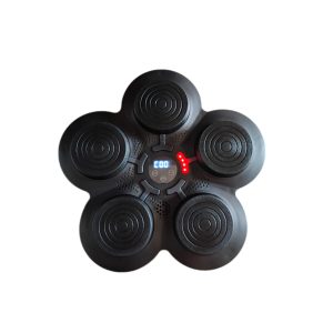 Tablero De Boxeo Musical Carga USB Niños Y Adultos